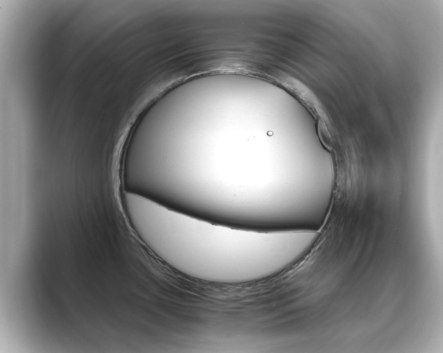 X0000089691435200706210825