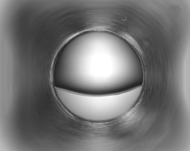 X0000089691436200706210825