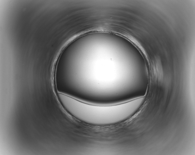 X0000089691437200706210825