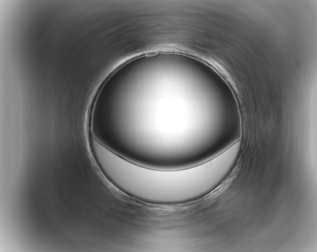 X0000089691438200706210825