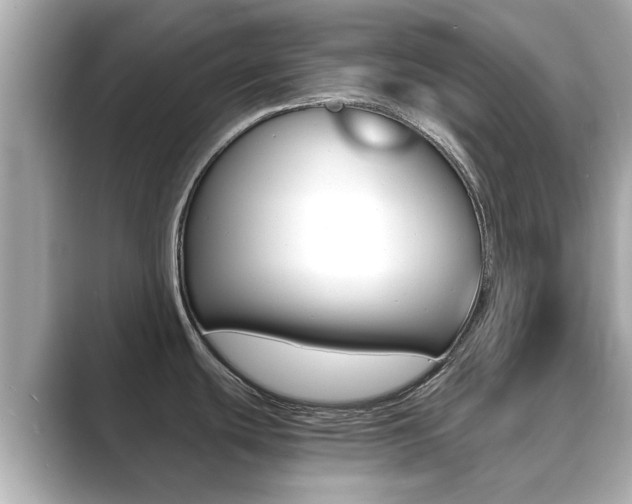X0000089691439200706210825