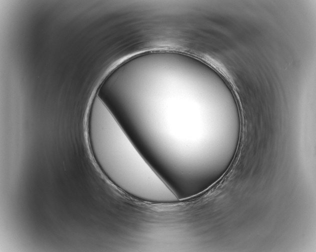 X0000089691440200706210825
