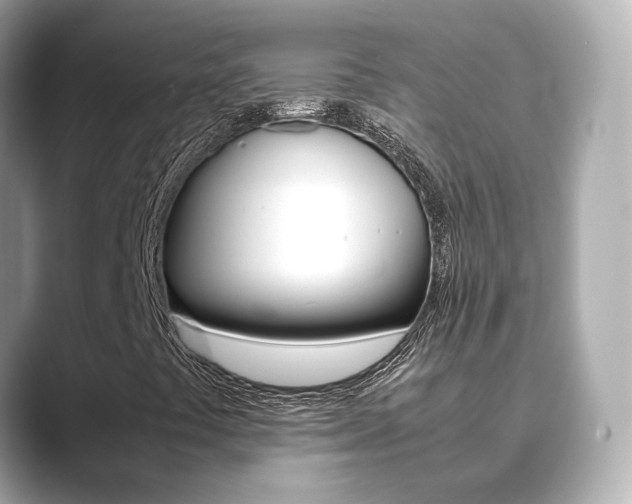 X0000089691441200706210824
