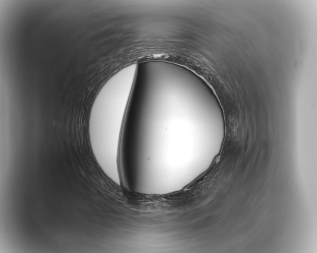 X0000089691442200706210824