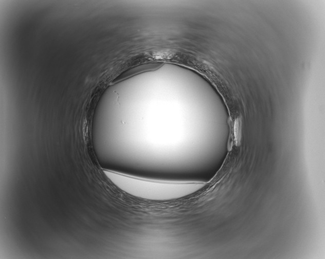 X0000089691443200706210824