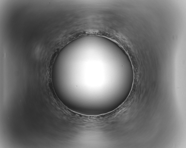 X0000089691445200706210824