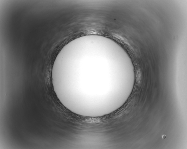 X0000089691446200706210824