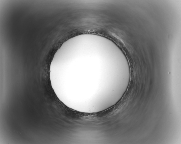 X0000089691447200706210824