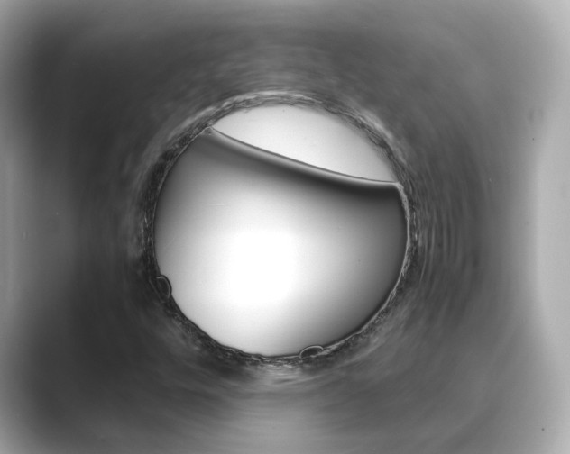X0000089691448200706210824
