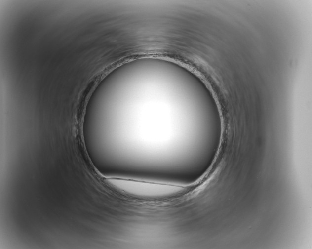 X0000089691449200706210824