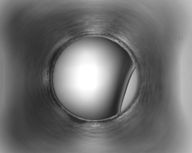 X0000089691450200706210824