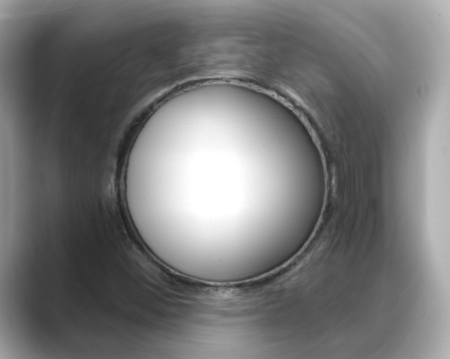 X0000089691452200706210824