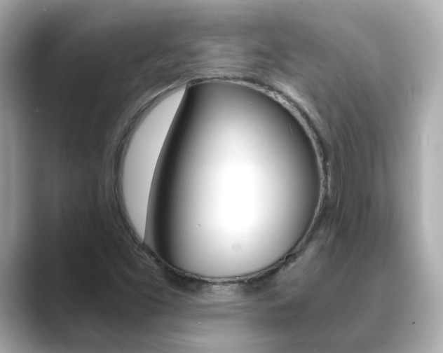 X0000089691453200706210824