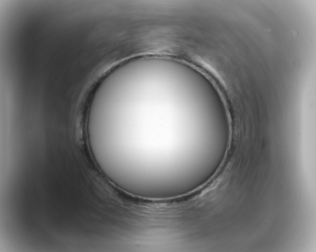 X0000089691455200706210824