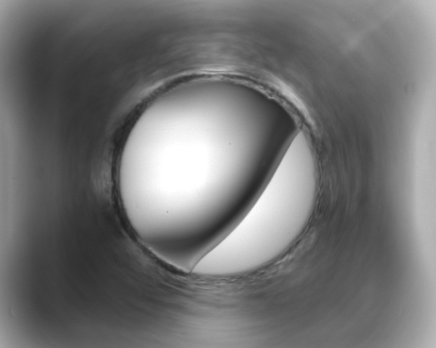 X0000089691456200706210824