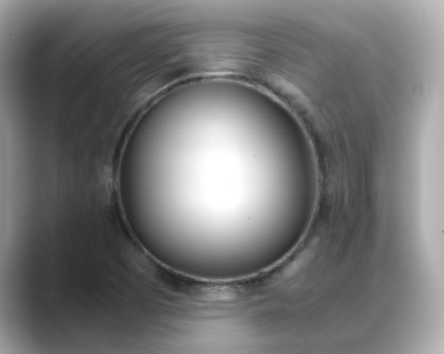 X0000089691457200706210824