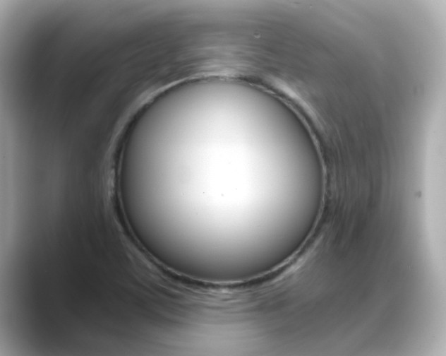 X0000089691459200706210824