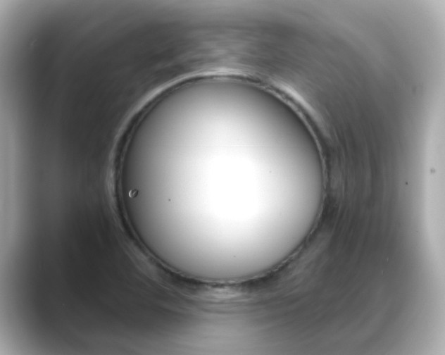 X0000089691460200706210824