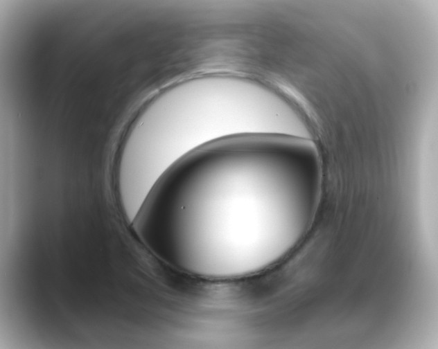 X0000089691461200706210824