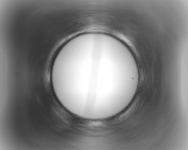 X0000089691462200706210824