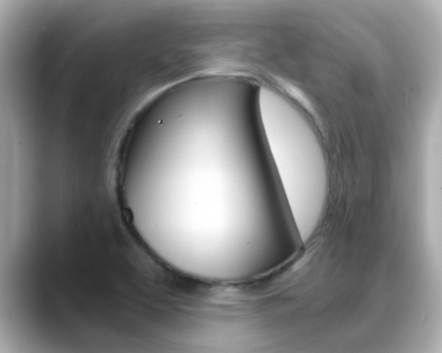 X0000089691463200706210824