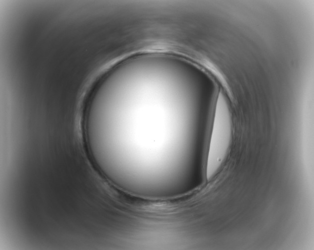 X0000089691464200706210824