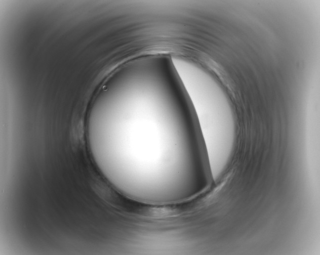 X0000089691465200706210824