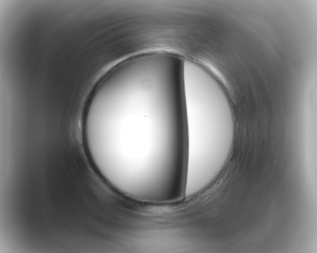 X0000089691468200706210824