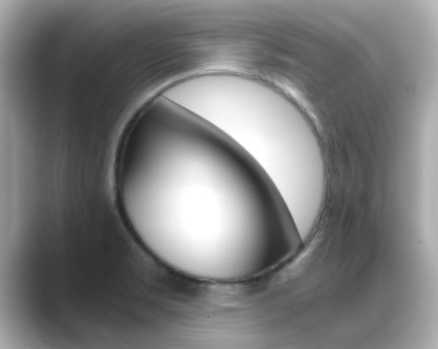 X0000089691469200706210824