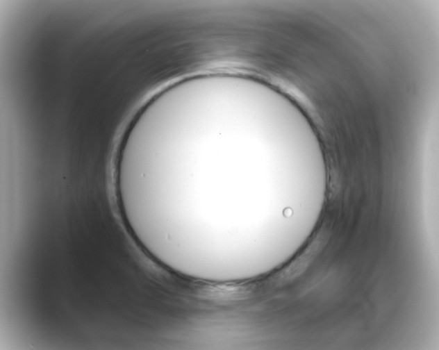 X0000089691470200706210824