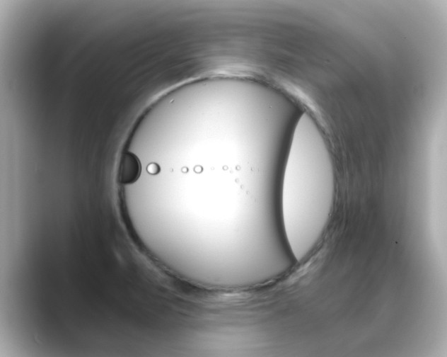 X0000089691471200706210824