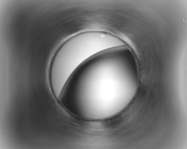 X0000089691472200706210824