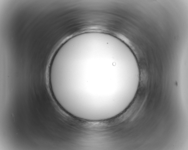 X0000089691474200706210824