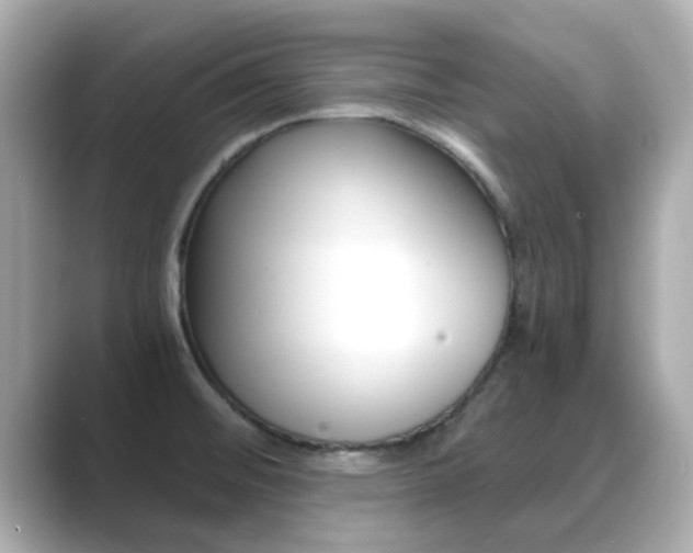 X0000089691476200706210824