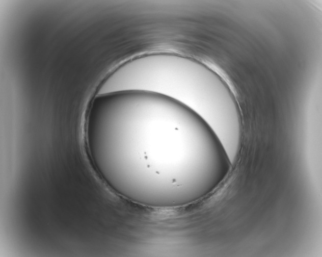 X0000089691477200706210824
