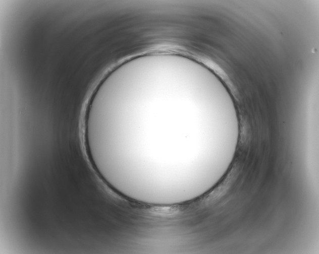 X0000089691478200706210824