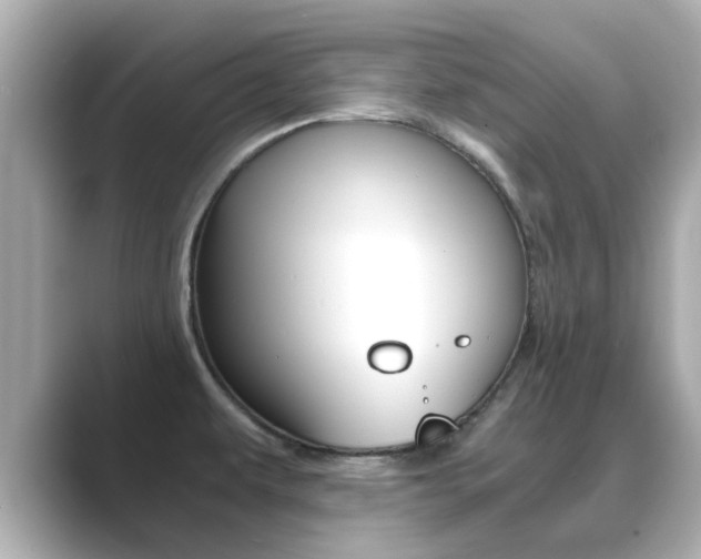 X0000089691479200706210824