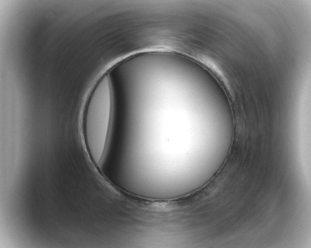 X0000089691480200706210824