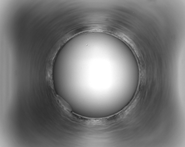 X0000089691481200706210824