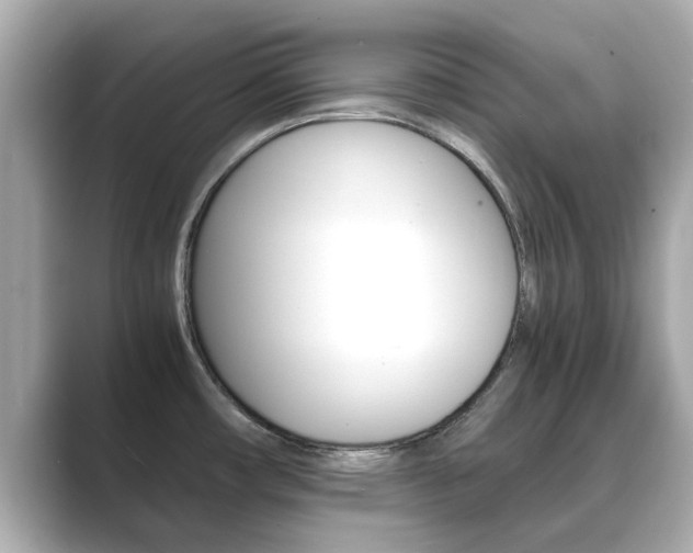 X0000089691482200706210824