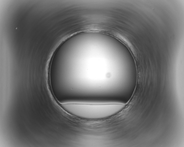 X0000089691483200706210824
