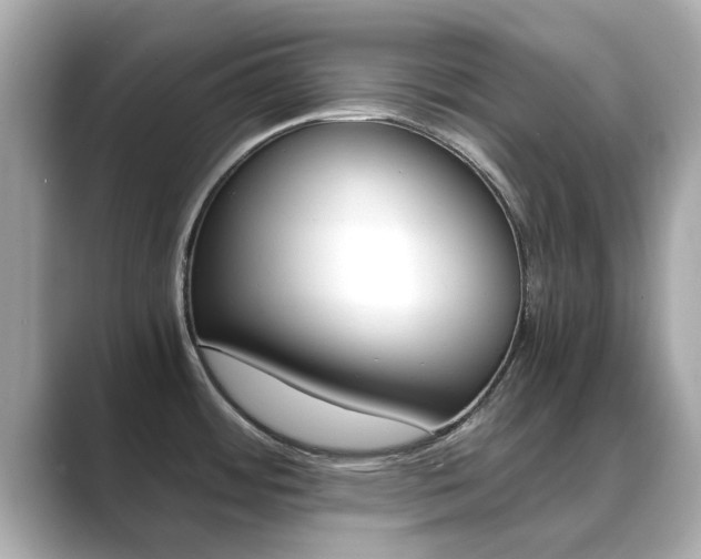 X0000089691484200706210824
