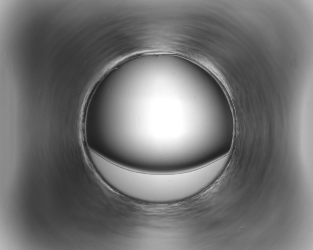 X0000089691485200706210824