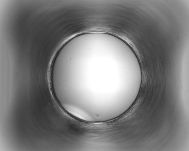 X0000089691486200706210824