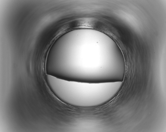 X0000089691487200706210824