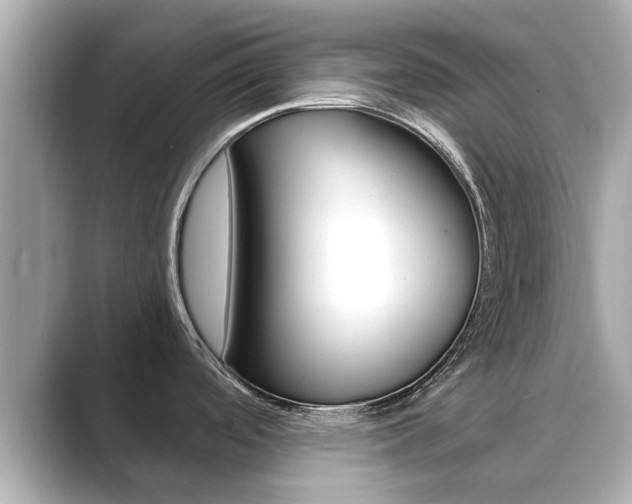X0000089691488200706210824
