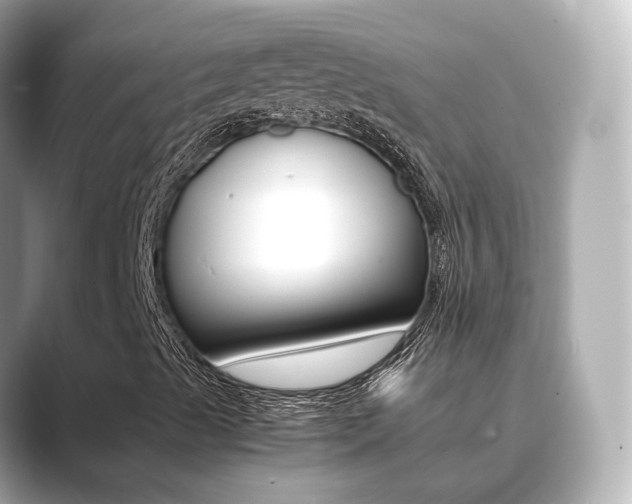 X0000089691489200706210823