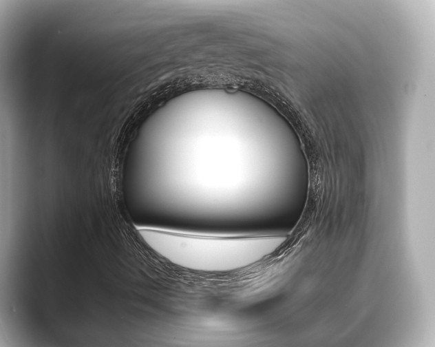 X0000089691490200706210823