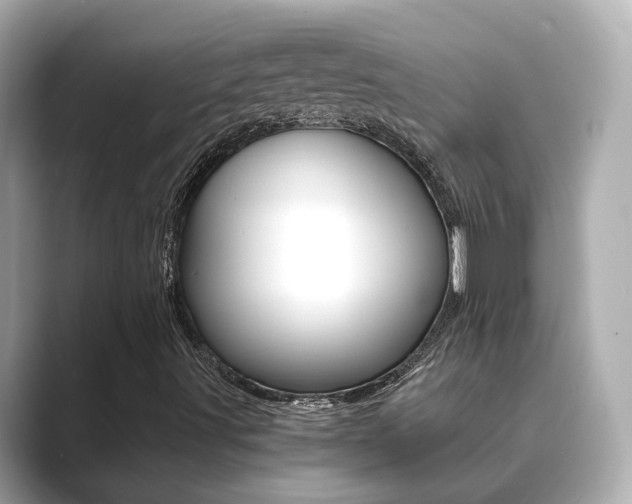 X0000089691491200706210823