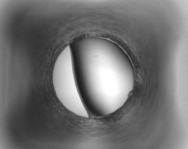 X0000089691493200706210823